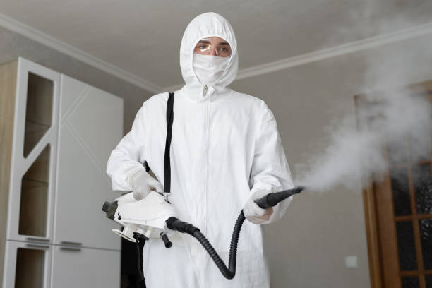 Mold Remediation for Vacation Homes in Horn Lake, MS